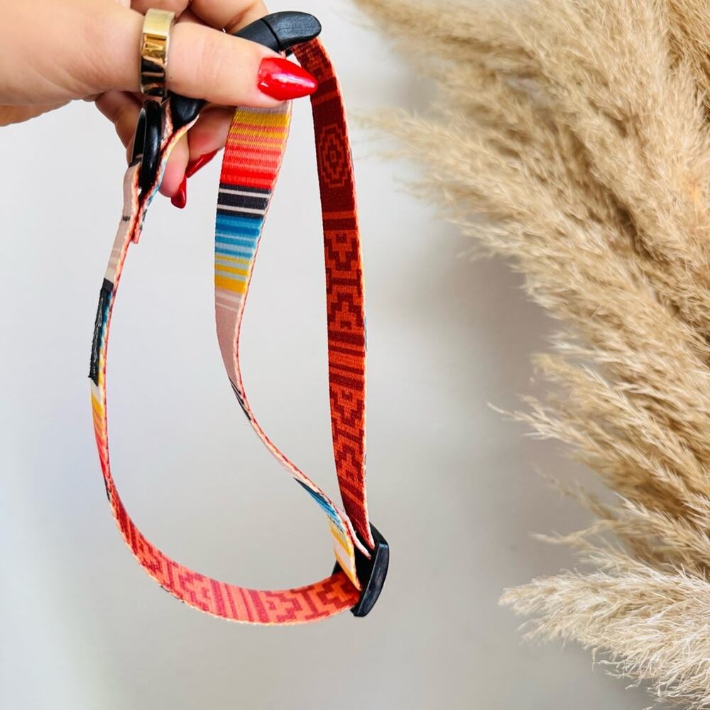 NEW LEEDS Califia Cream Orange Stripe Buckle Dog Collar Step In Harness $85 Set - Picture 5 of 13